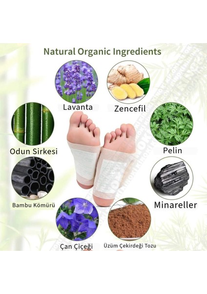 10 Adet %100 Detoks Ayak Bandı - Foot Patch Ayak Detoksu Bandı indirimleri
