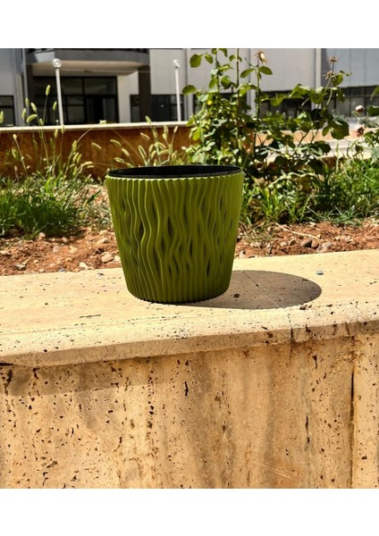 Fıstık Saksı