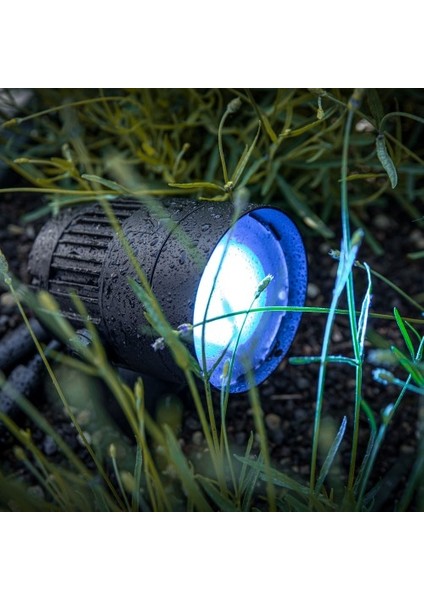 5 Adet Elektrikle Çalışır 7 Watt Mavi Işık Çok Kaliteli Çim, Çiçek, Ağaç, Peyzaj Aydınlatma Armatürü