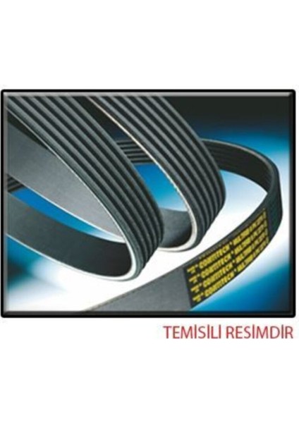 Continental 6PK1453 V Kayışı 206 1.4 1.6