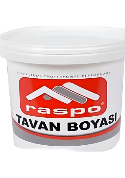Tavan Boyası (17.5 Kg)