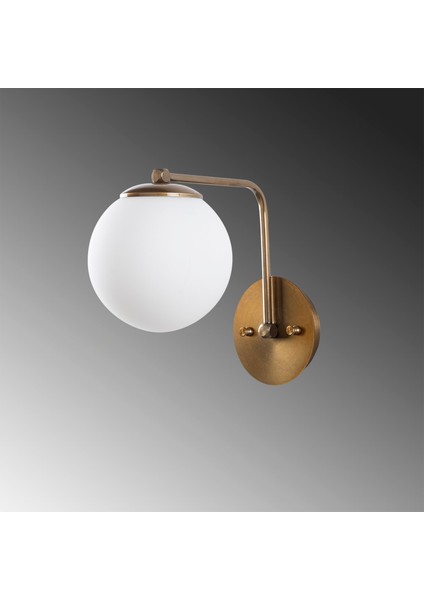 Daisy 146 1 Cam Aplik Duvar Aydınlatma | Bylamp