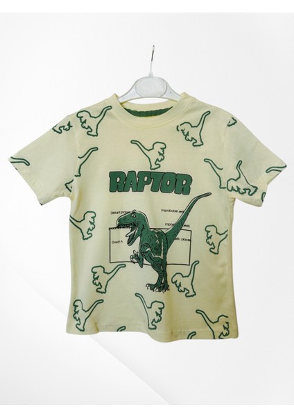 Erkek Çocuk Dinazor Baskılı Şort T-Shırt Alt Üst Takım fiyatları