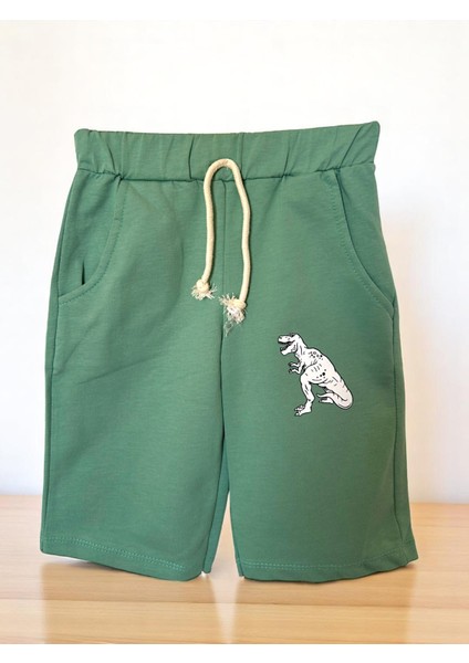 Erkek Çocuk Dinazor Baskılı Şort T-Shırt Alt Üst Takım modelleri
