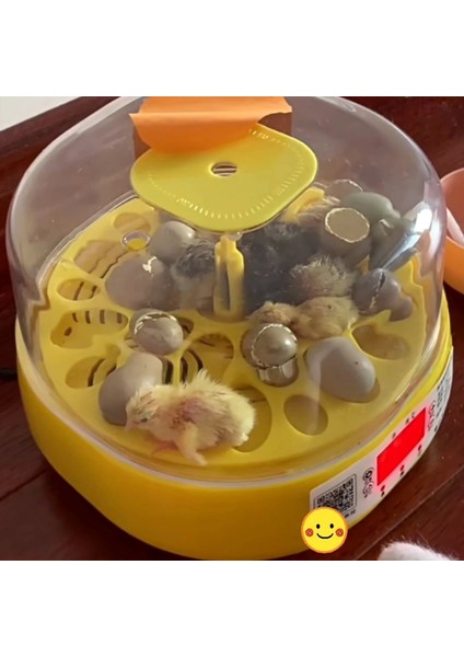 Mini Otomatik Ev Tipi Kuluçka: Papağan Bıldırcın Kuluçka Makinesi 18lı Yumurtalı Mx-18