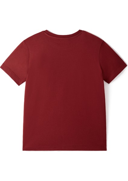 Galatasaray Gerçekleri Tarih Yazar Çocuk T-Shirt C251392