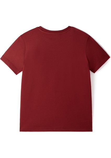 Galatasaray 5 Yıldız Çocuk T-Shirt C251393