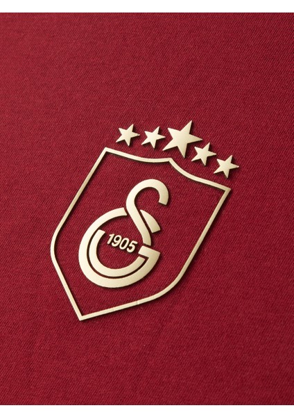 Galatasaray 5 Yıldız Çocuk T-Shirt C251393