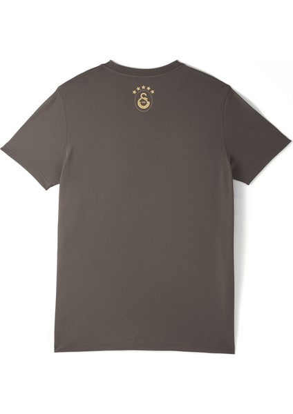 Galatasaray 5 Yıldız Detaylı T-Shirt E251399