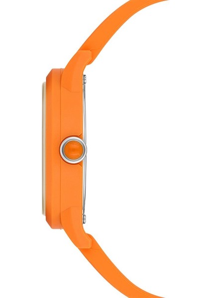 USPA2007-09 Kadın Kol Saati fiyatları