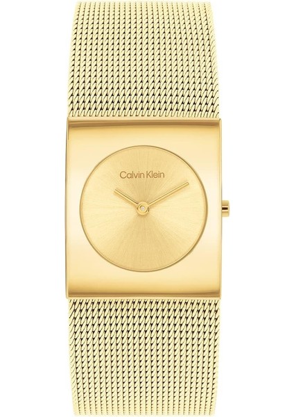 Calvın Kleın CK25100062 Kadın Kol Saati