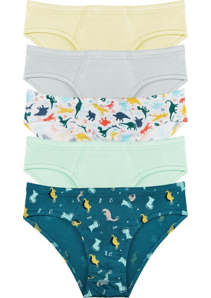 Rkek Çocuk Pamuklu 5l Külot Set - KIDS2000