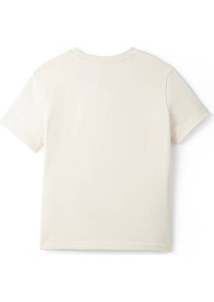 Galatasaray Kalkan Degrade 5 Yıldız Çocuk T-Shirt C251396