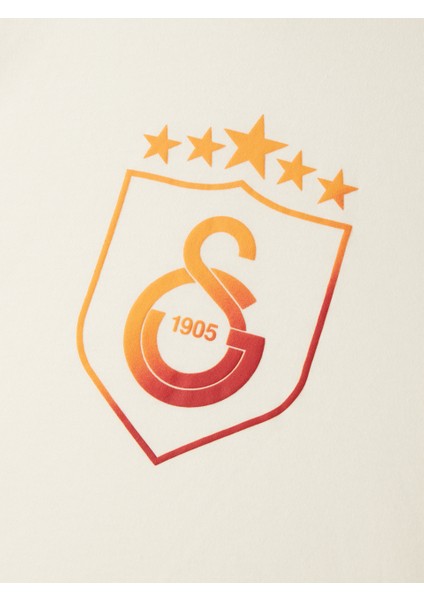 Galatasaray Kalkan Degrade 5 Yıldız Çocuk T-Shirt C251396