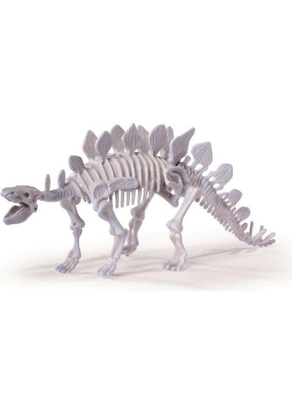 Elite Dino Iskelet Kazı Seti Stegosaurus 104342547 1 Adet