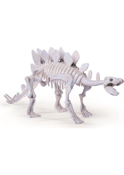 Elite Dino Iskelet Kazı Seti Stegosaurus 104342547 1 Adet fiyatları