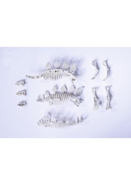 Elite Dino Iskelet Kazı Seti Stegosaurus 104342547 1 Adet modelleri