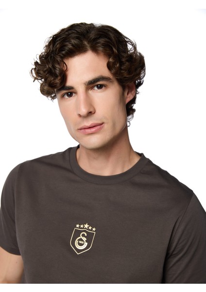 Galatasaray 5 Yıldız T-Shirt E251393 modelleri