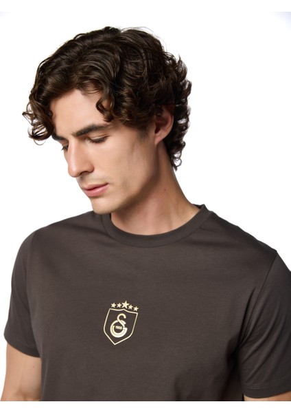 Galatasaray 5 Yıldız T-Shirt E251393 fırsatları