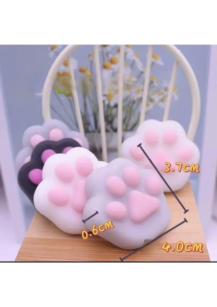 Elite 5 Adet Kedi Patisi -Sukuşi Kedi Pati Squshi Pati 1 Adet