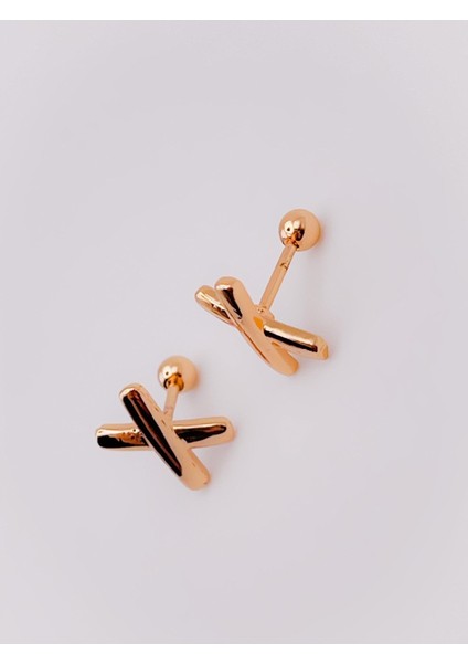 Cerrrahi Çelik Piercing ( Pirsing ) x Figürlü Tragus Helix Piercing (1ADET) fırsatları