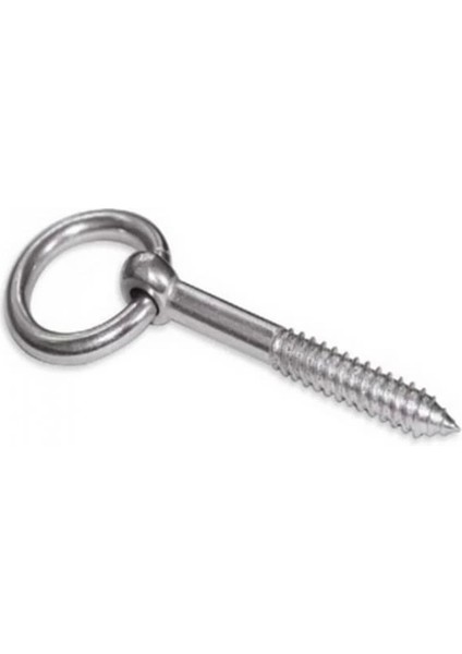 Beşel Halkalı Vida 6 mm