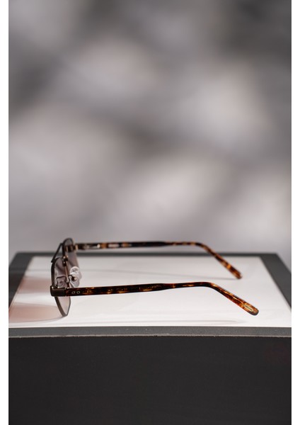 Güneş Gözlüğü MS-287-C53 modelleri