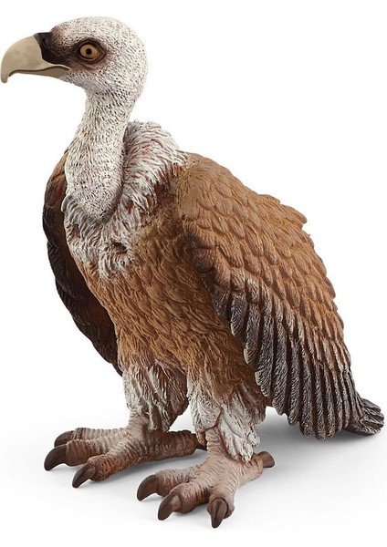 Elite Akbaba 14847 1 Adet