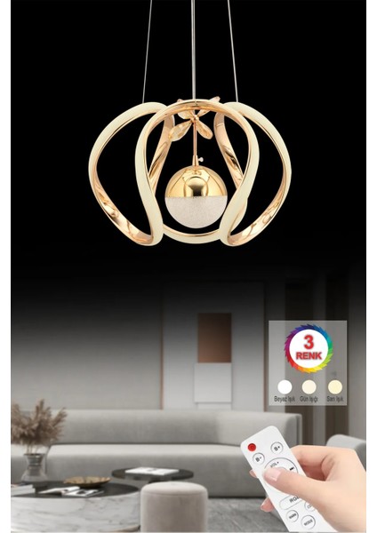 Istanbul Avize Bigiee Ledli Üç Renk Gold Lüx Modern LED Avize