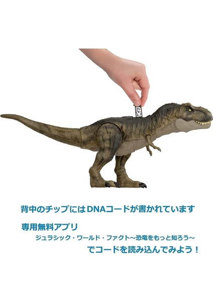 Elite 53 cm Sesli Dev Dinozor Figürü T-Rex Oyuncak Hayvan Figür 1 Adet modelleri