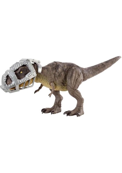 Elite Yürüyen Mücadeleci T-Rex Figürü GWD67 1 Adet fiyatları
