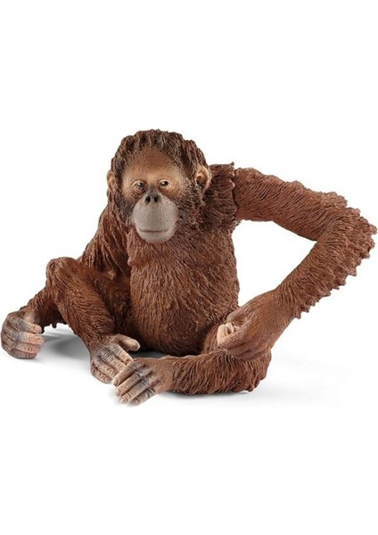 Elite Schleich 14775 – Orang-Utan Şekli Figür 1 Adet