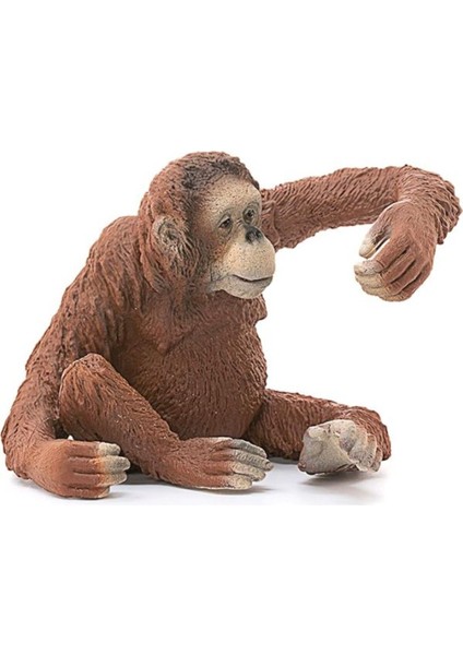 Elite Schleich 14775 – Orang-Utan Şekli Figür 1 Adet modelleri