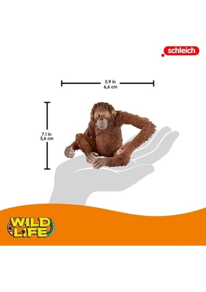 Elite Schleich 14775 – Orang-Utan Şekli Figür 1 Adet fırsatları