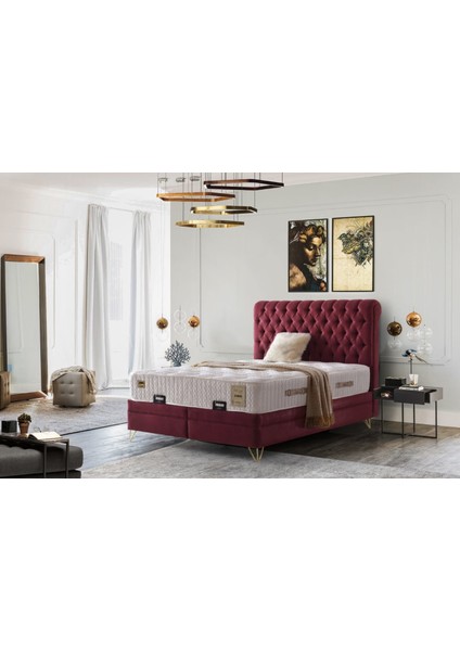 Lima Ortopedik Antialerjik 30CM 100*200 Yatak-Baza-Başlık Seti