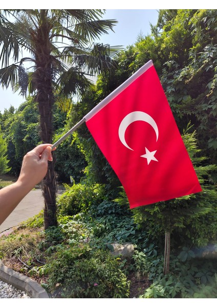 30x45 cm Sopalı Miting Türk Bayrağı – 80 g/m² | Raşel Kumaş, Pigment Baskı, Dış Mekan Uyumlu, Ekonomik ve Dayanıklı