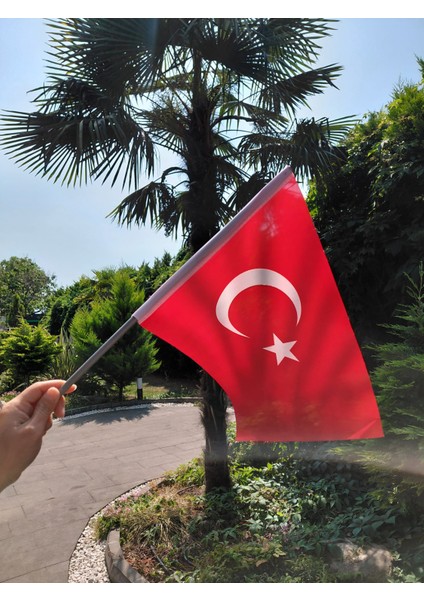 30x45 cm Sopalı Miting Türk Bayrağı – 80 g/m² | Raşel Kumaş, Pigment Baskı, Dış Mekan Uyumlu, Ekonomik ve Dayanıklı