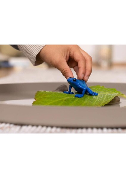 Elite Zehirli Dart Kurbağası 14864 1 Adet fiyatları