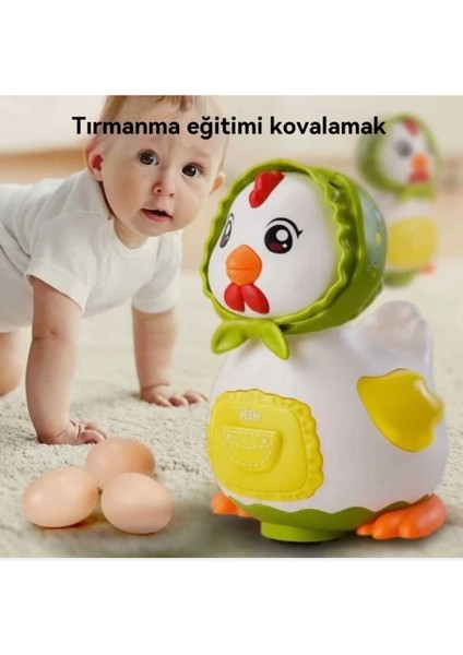 Elite Pilli Yumurtlayan Tavuk 1 Adet