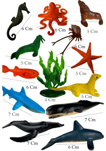 Elite Deniz Canlıları Figür Seti – Eğitici ve Eğlenceli Oyuncak 13 Parça (4–7 Cm) 1 Adet