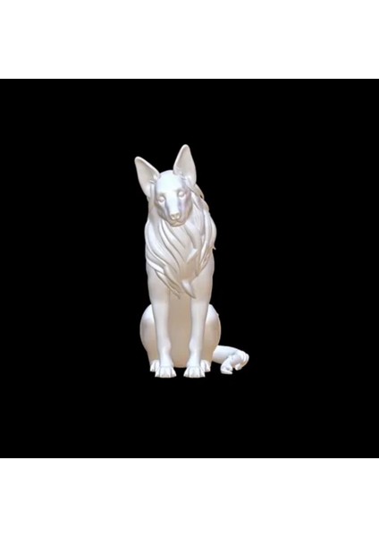 Elite Swiss Shepherd 1 Adet