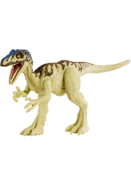 Elite Figürler Coelurus HBX29 1 Adet