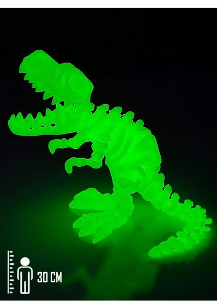 Elite Karanlıkta Parlayan T-Rex Dinazor Iskelet Tüm Eklemleri Hareketli Hayvan Figür Oyuncak 30 cm 1 Adet