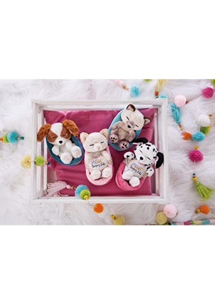 Elite Simurg 47893 Soft Basket 12 cm – Sleeping Pets Cuddly Toy Siamese Cats For Girls, Boys & Babie 1 Adet