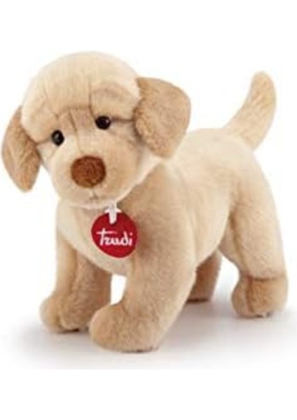 Elite Acelya Peluş Labrador Liam Star Shop Trend 1058548 1 Adet