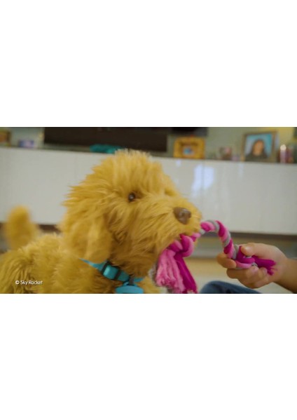 Elite My Fuzzy Friends Moji Interactive Labradoodle Interaktif Büyük Sevimli Köpek 1 Adet