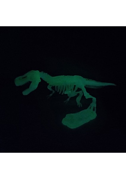 Elite Fosforlu Parıldayan Glow T-Rex 3 Boyutlu Dinozor Iskelet Maket Model Oyuncak 1 Adet modelleri