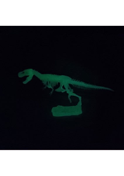 Elite Fosforlu Parıldayan Glow T-Rex 3 Boyutlu Dinozor Iskelet Maket Model Oyuncak 1 Adet fırsatları