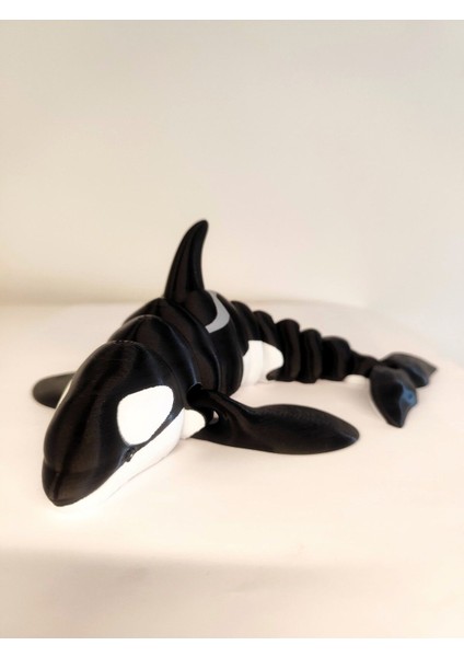 Elite Orca Balina Hareketli Oyuncak –3d Baskı – Büyük Versiyon (26 Cm) 1 Adet