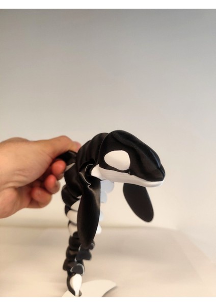 Elite Orca Balina Hareketli Oyuncak –3d Baskı – Büyük Versiyon (26 Cm) 1 Adet